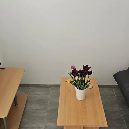 Apartment Duplex 2 Avec Exterieur *